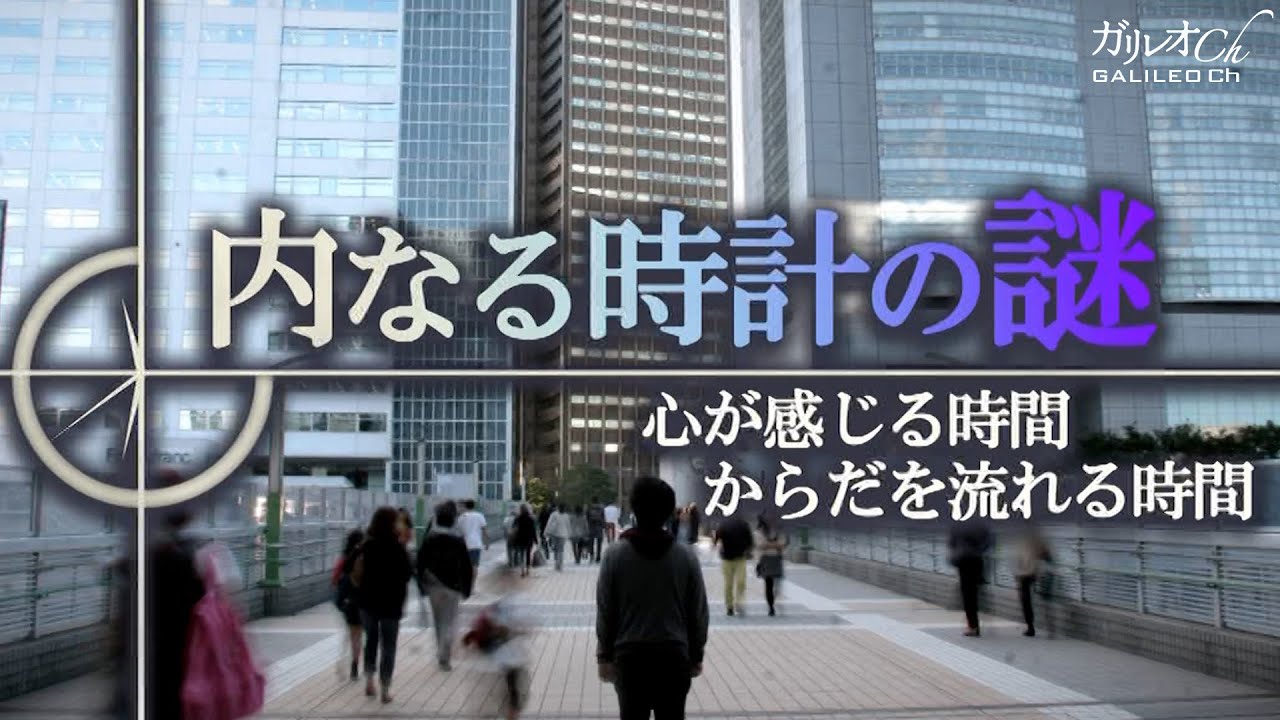 【体内時計の不思議】内なる時計の謎　心が感じる時間・からだを流れる時間｜ガリレオＸ第64回