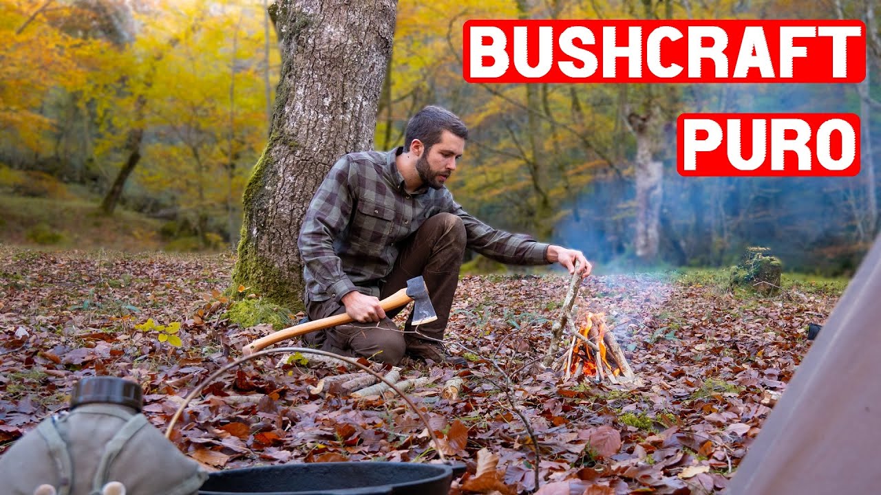 Vivac Otoñal En Un Bosque De Película - Bushcraft Puro