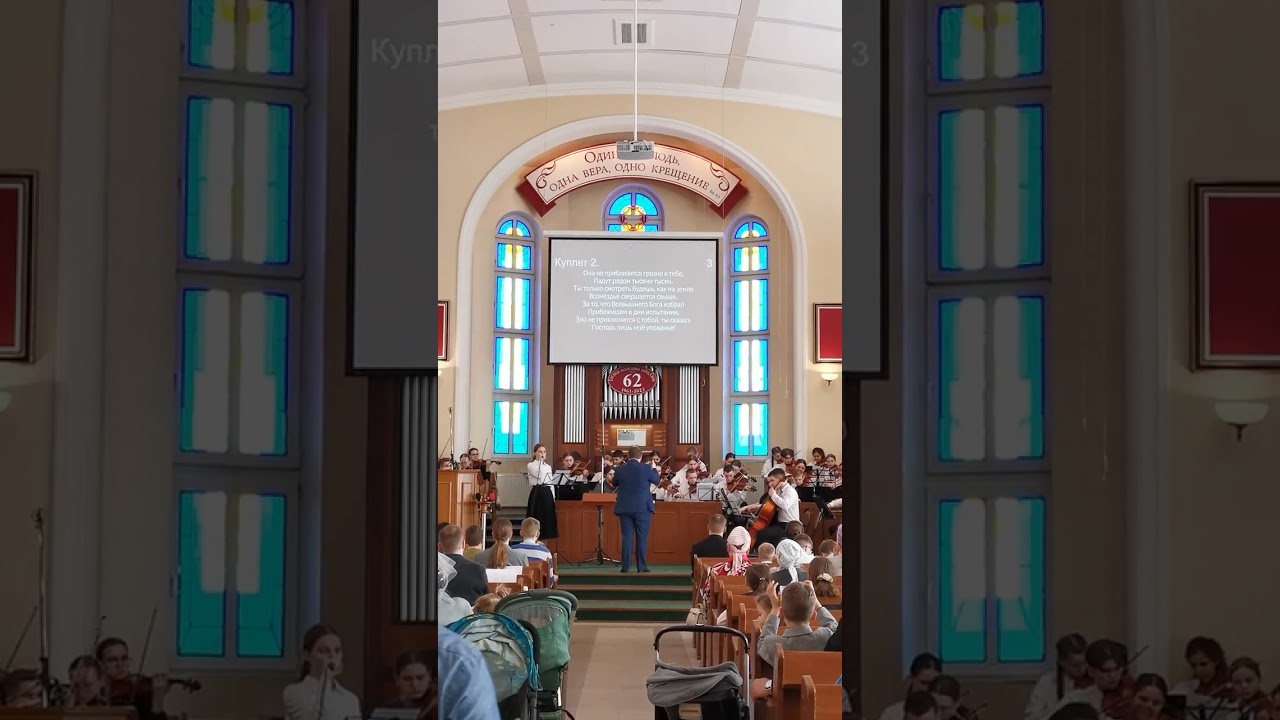 Скрипичный оркестр 