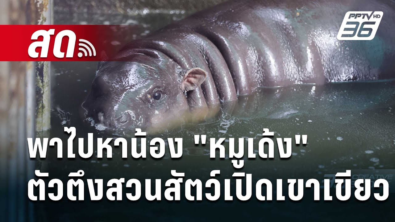 🔴สด! พาไปหาน้อง 