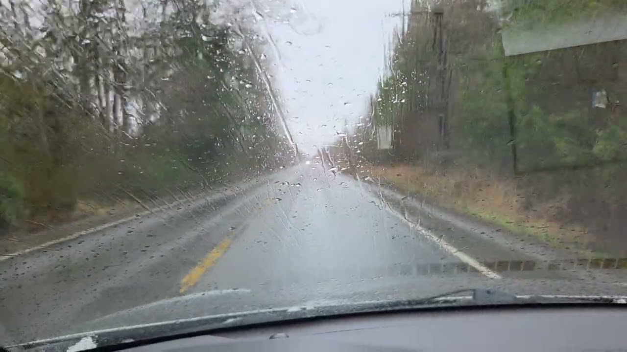 주안에 생명이 있네(노래:최귀라사모)