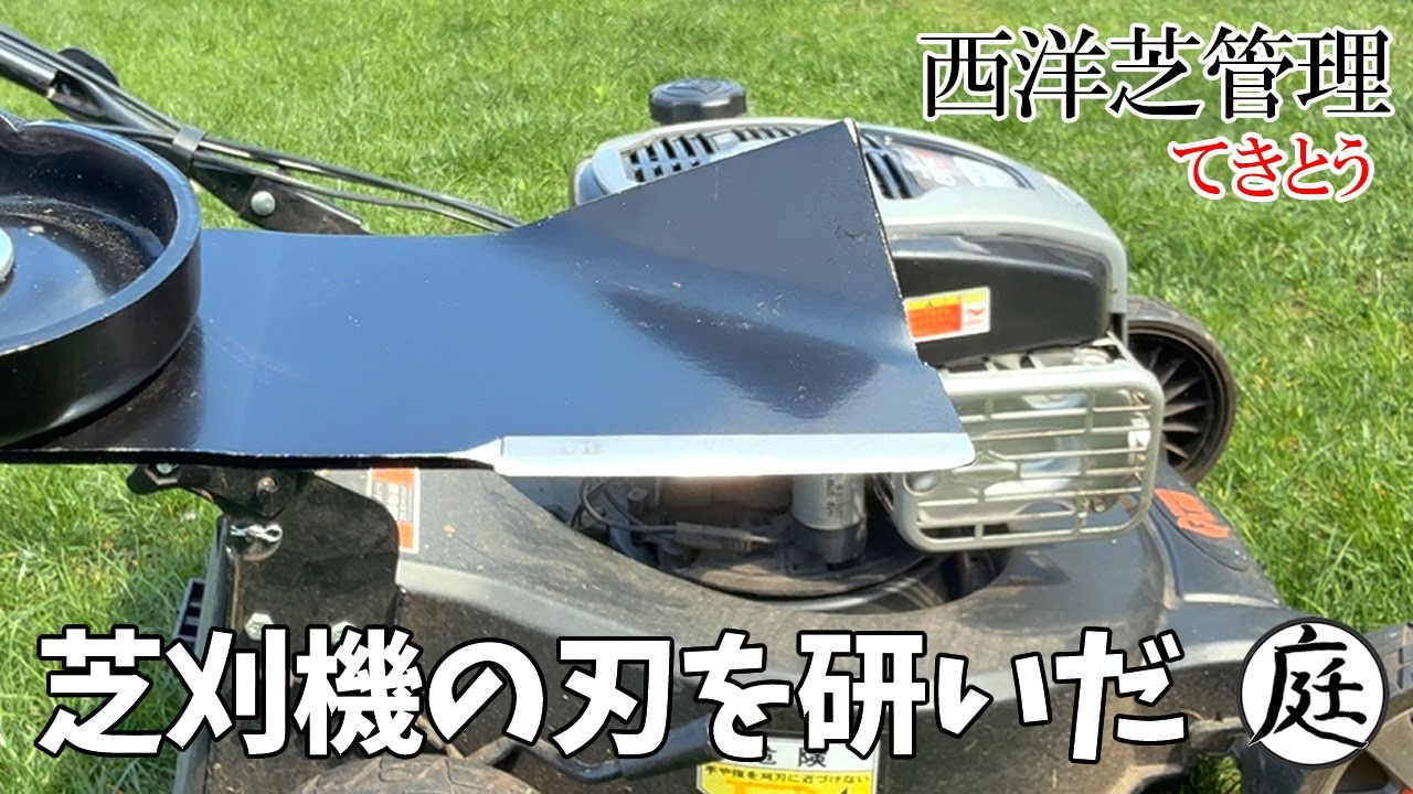 【西洋芝 芝刈】ロータリー式芝刈り機 刃を研いだら最高だった！