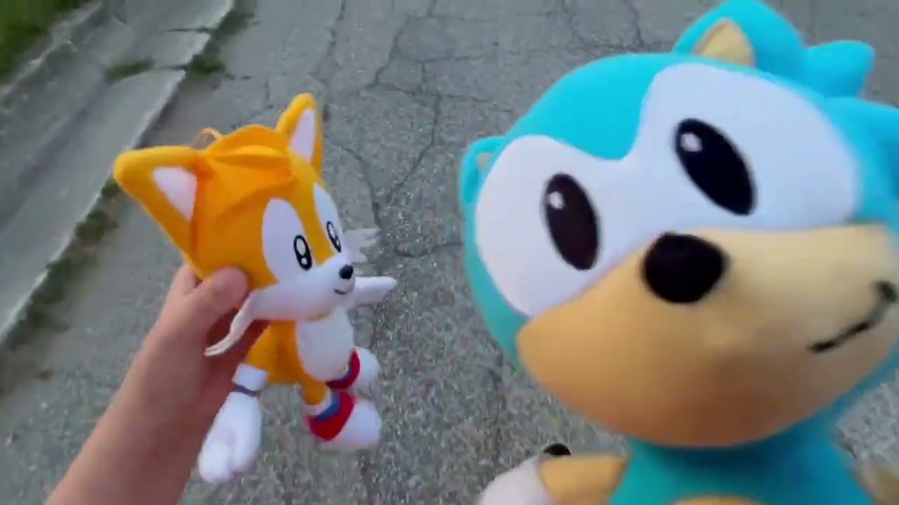 Sonic goes for a walk