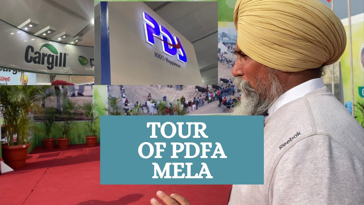 TOUR OF PDFA MELA JAGRON PART 1| AULAKH DAIRY FARM