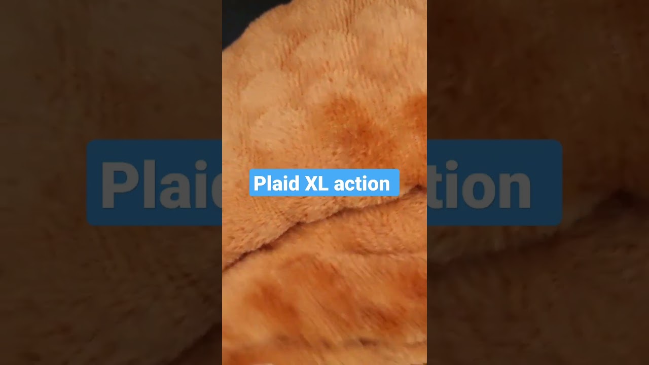 plaid action XL pas cher 