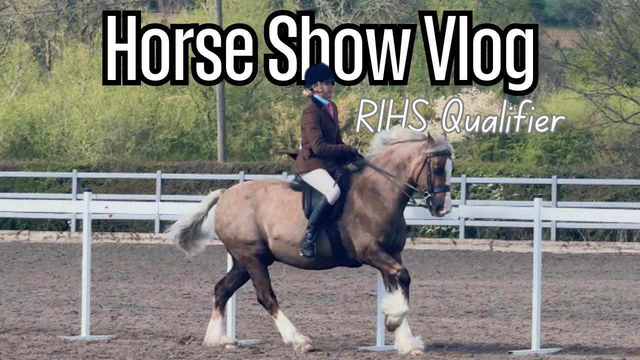 COME TO A HORSE SHOW WITH ME | Pretty Polly Heritage Mixed Breeds RIHS Qualifier