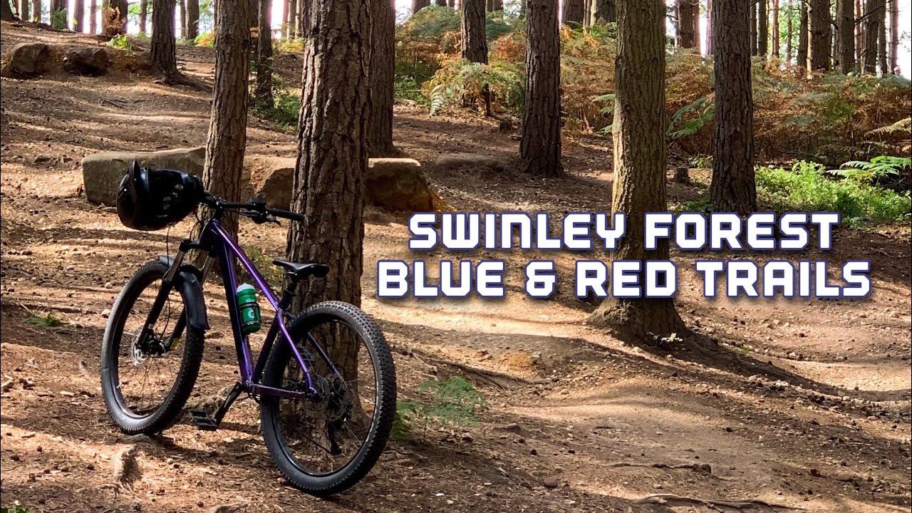 Swinley Forest Blue and Red Trails on a hardtail - Trek Roscoe 6!