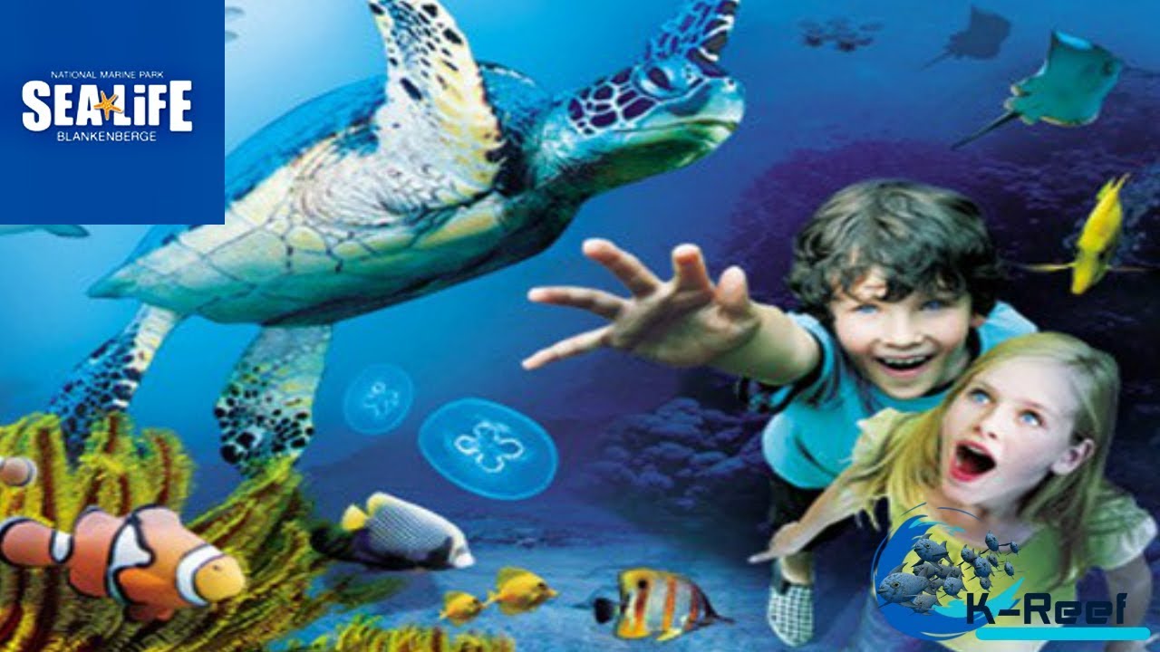 SEA LIFE Blankenbergen Belgium/ National marine park