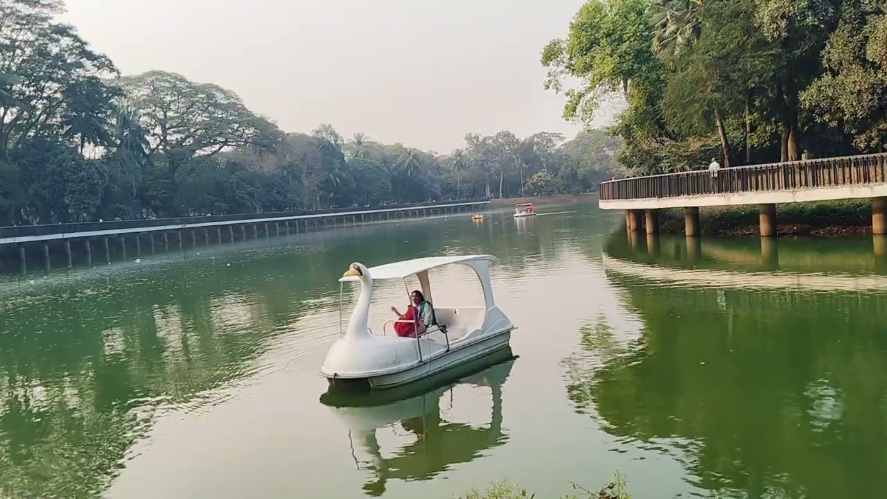 Nature Sound 1 Hour || Ambient Sound 
