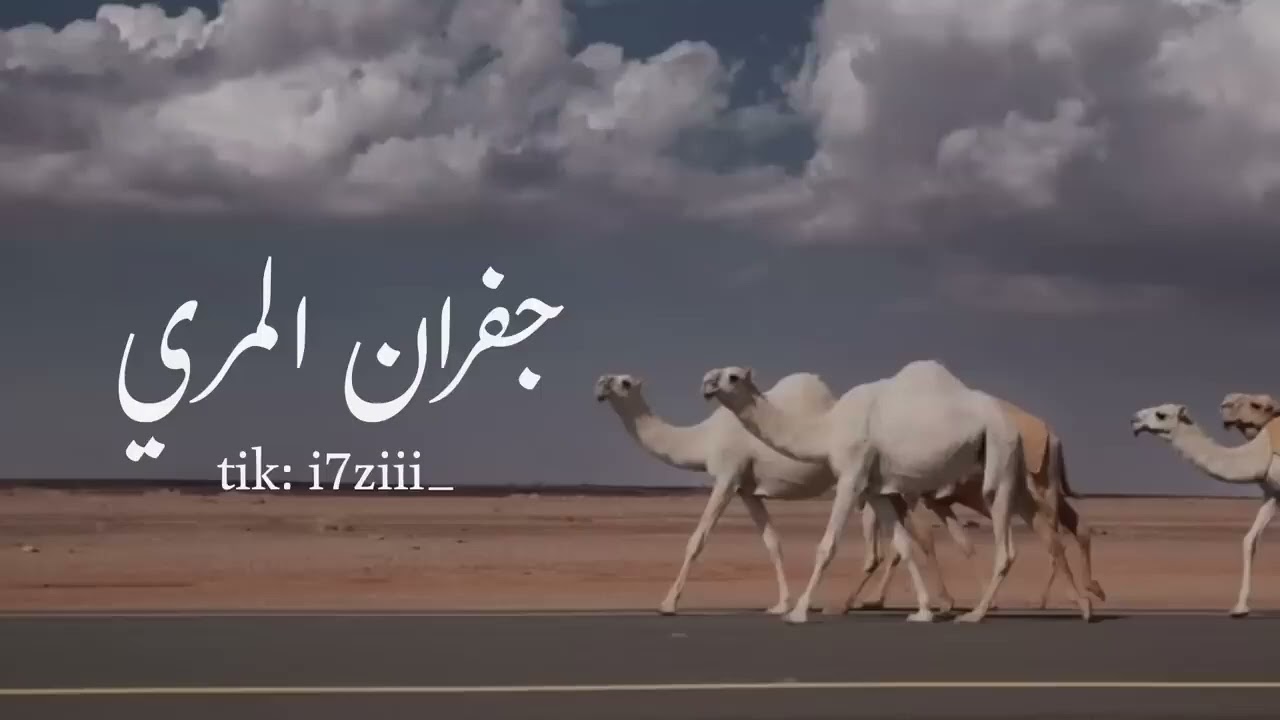 جفران المري 
