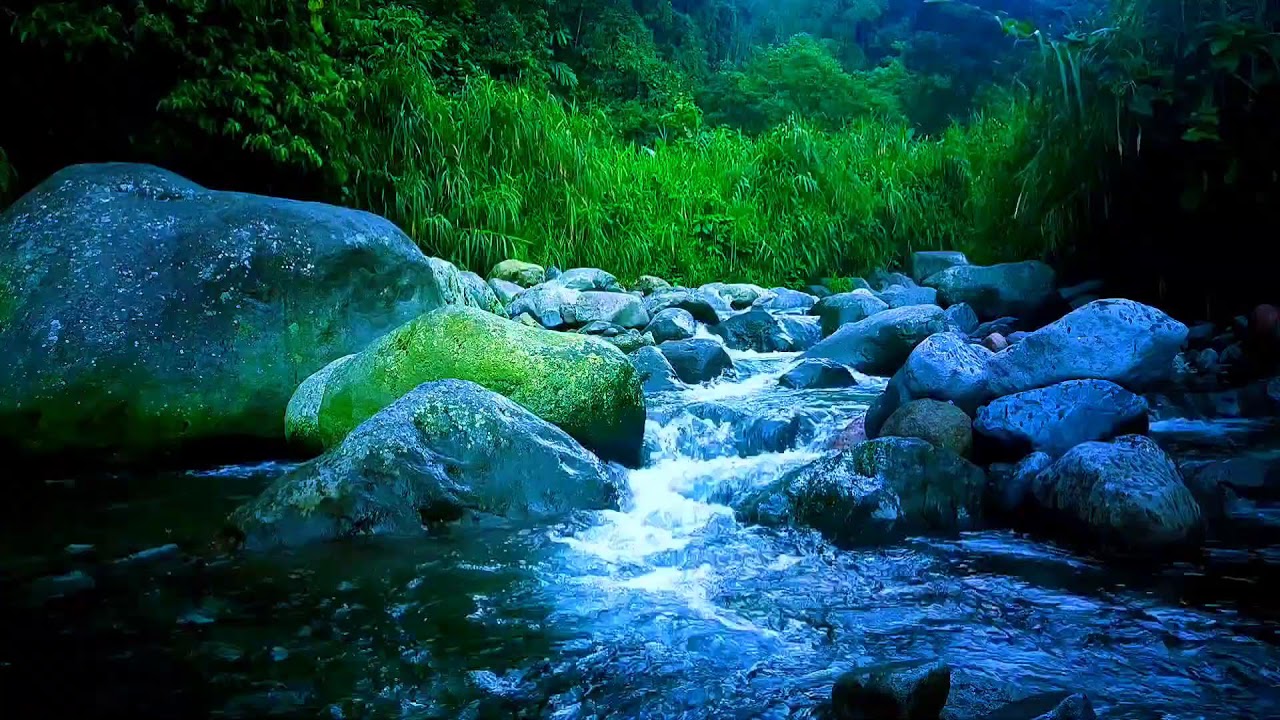 🍃 Peaceful Flowing River ASMR for Sleeping Fast, Relaxation & Mental Calm