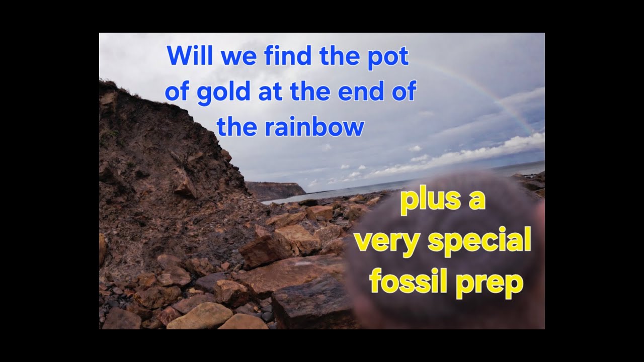 We struck the fossil Jackpot at Sandsend