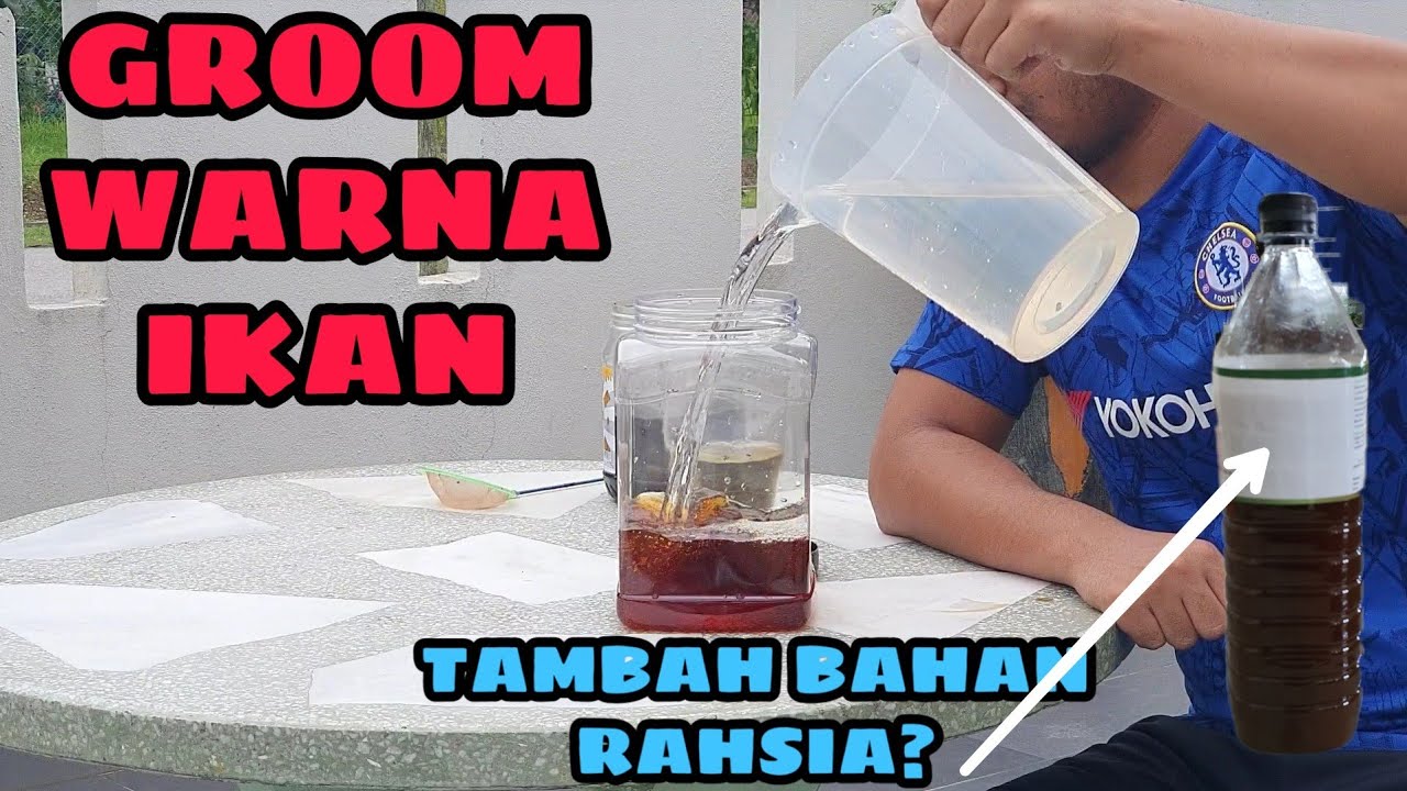 GROOM WARNA IKAN LAGA. | Tengok sampai habis, saya ada letakkan bahan rahsia.