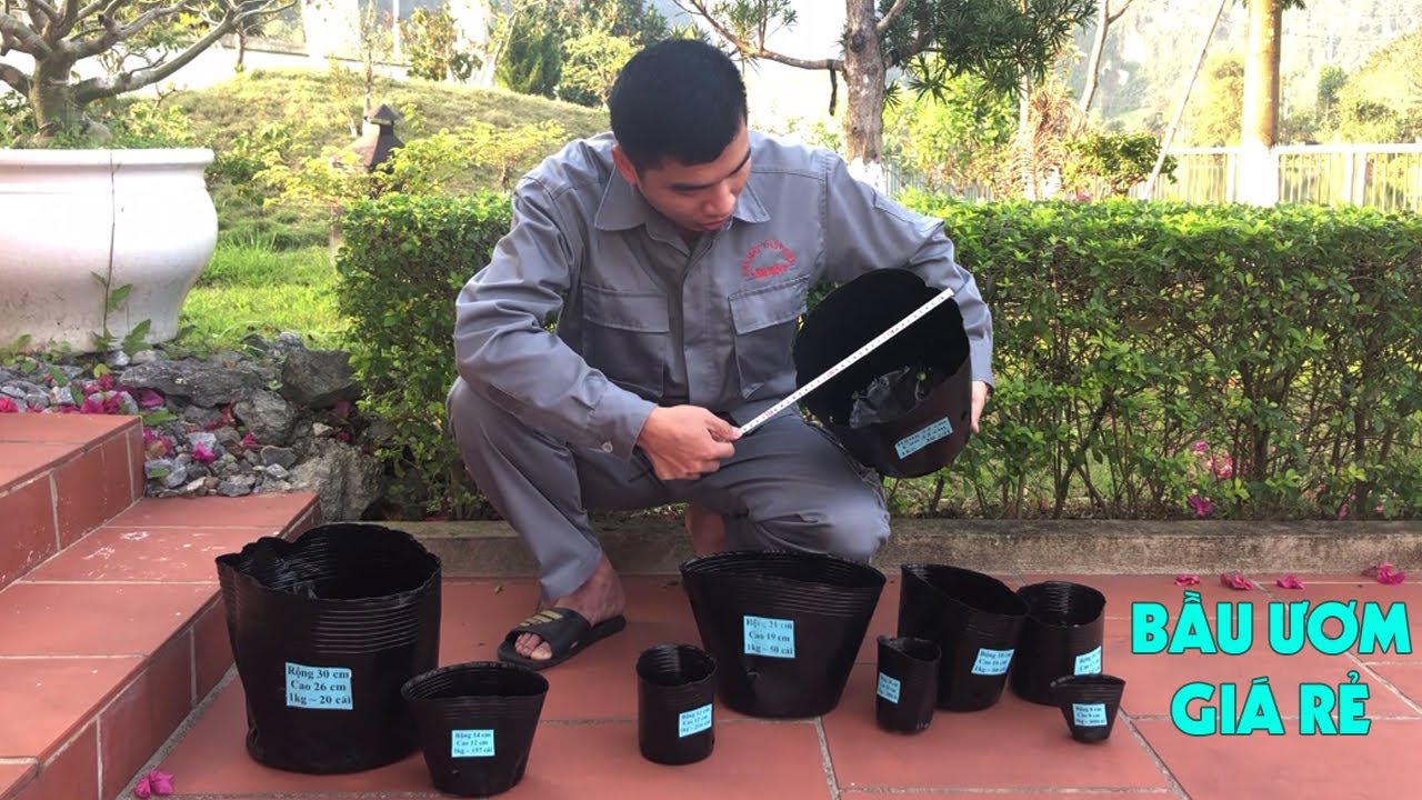 Đang Bán 10 Cỡ TÚI BẦU ƯƠM CÂY Giá Rẻ - BẦU ƯƠM CÂY GIỐNG Bằng Nhựa Mềm PE - 0375524180 (Có Zalo)