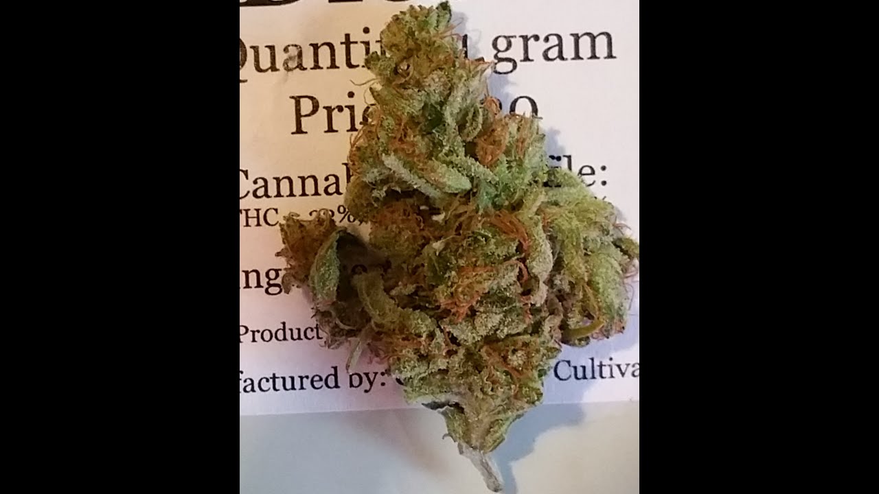 Sour Diesel by Capital City Cultivation Review