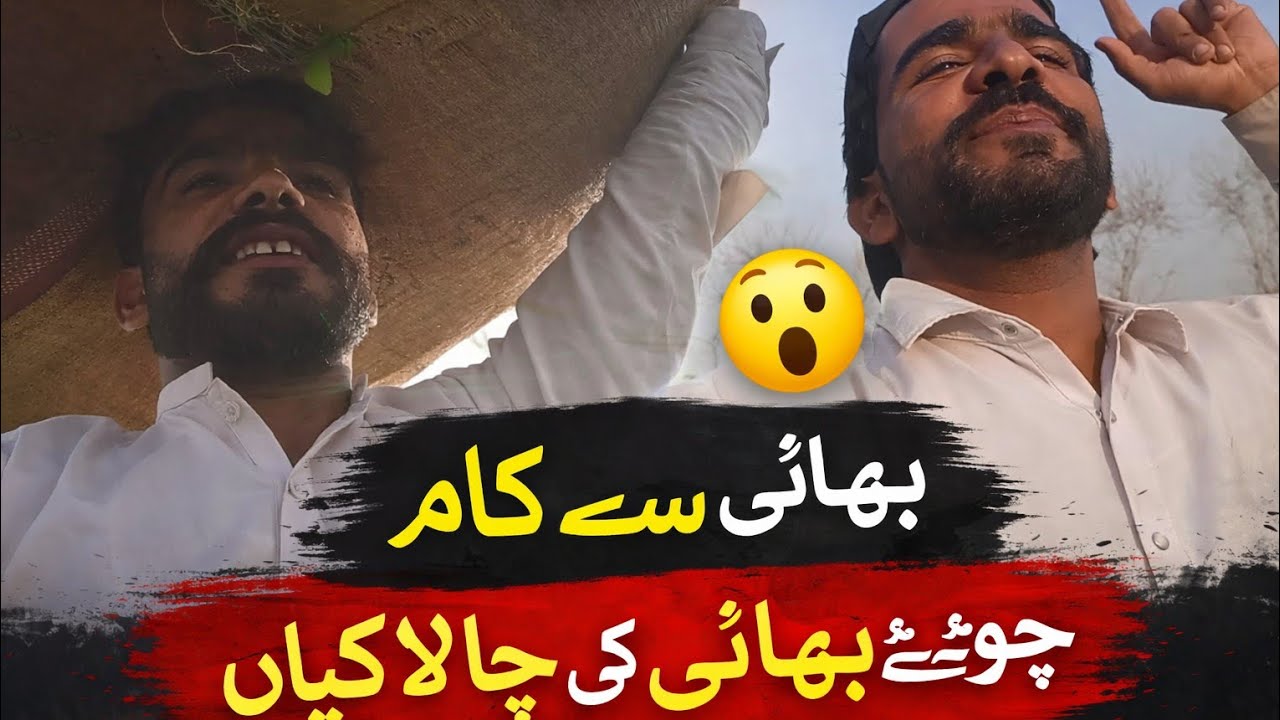 Bhai Se Kaam 😮 | Chote Bhai Ki Chalakiyaan