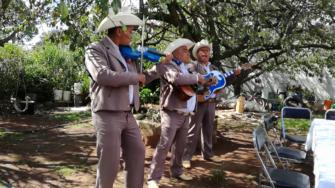 EL CORRIDO DE CHUY Y MAURICIO-Trio Tres Palmas Hidalguense