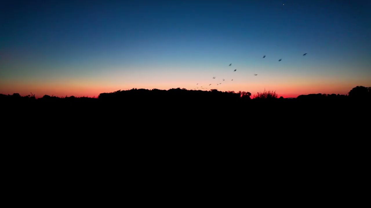 4K Sunrise Over Pond & Forest • French Countryside Morning 🌅🌿 | Nature Sounds | No Ads