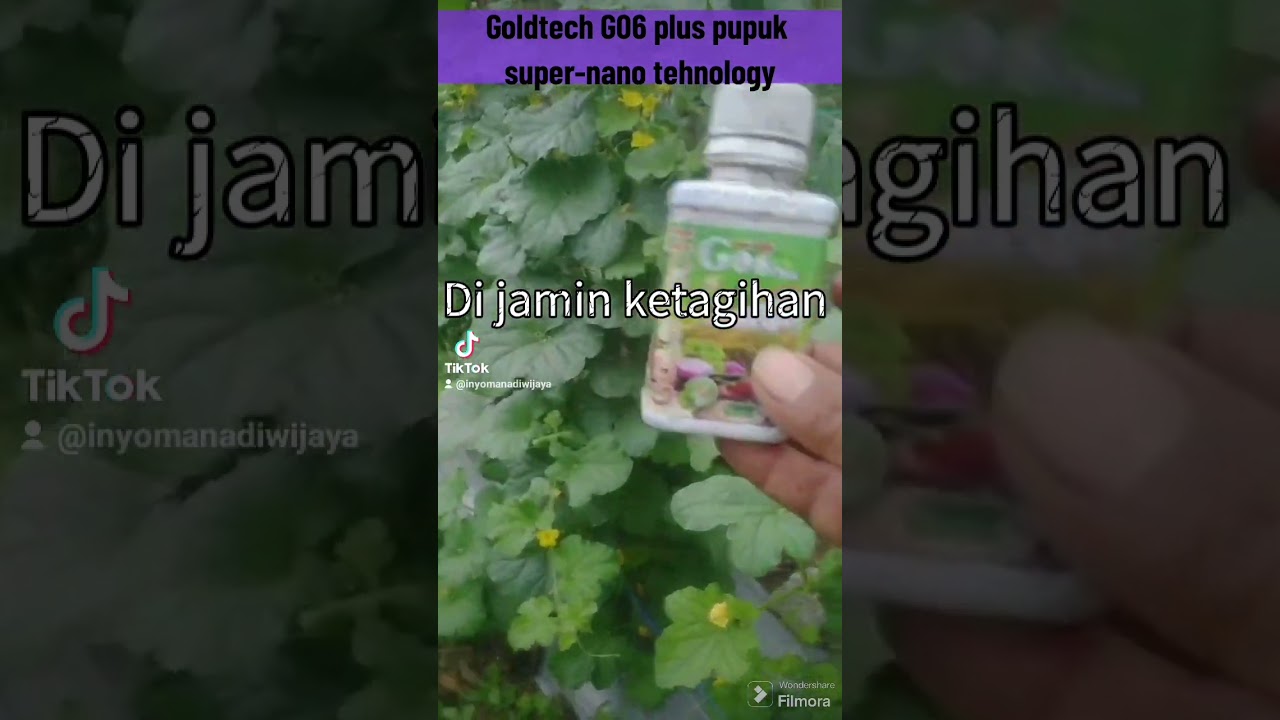 pupuk goldtech G06 plus