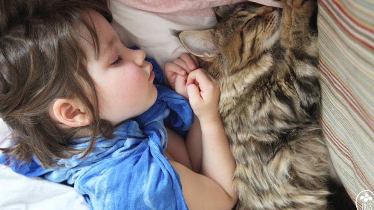 L’incredibile storia di Grace, la bimba autistica salvata da un gatto