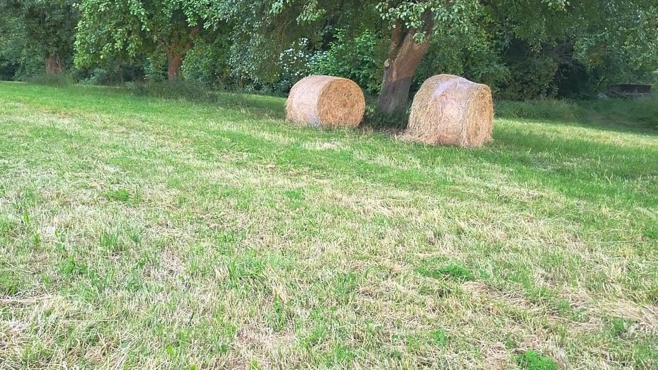 Farmvlog Die Heu Ballen Werden Geladen