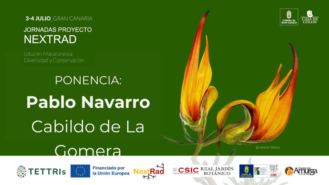 Ponencia: Pablo Navarro. Jornadas NEXTRAD 4 de julio de 2025, Gran Canaria