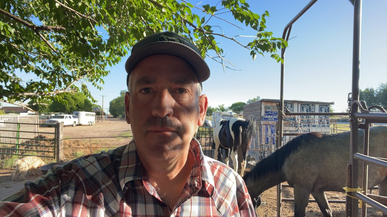 UPDATE FROM THE FARM!!