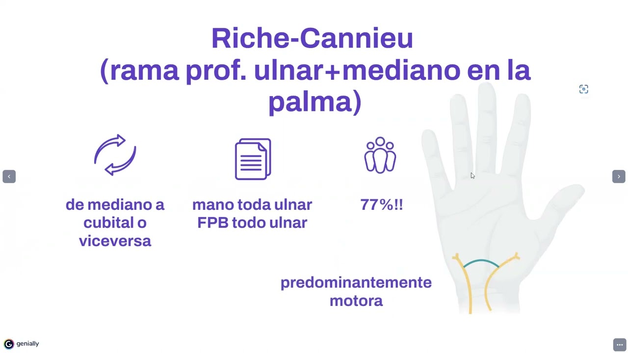 inervaciones anomalas