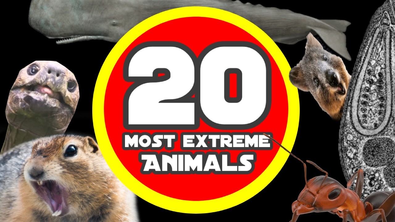 20 OF THE MOST EXTREME ANIMALS EVER!
