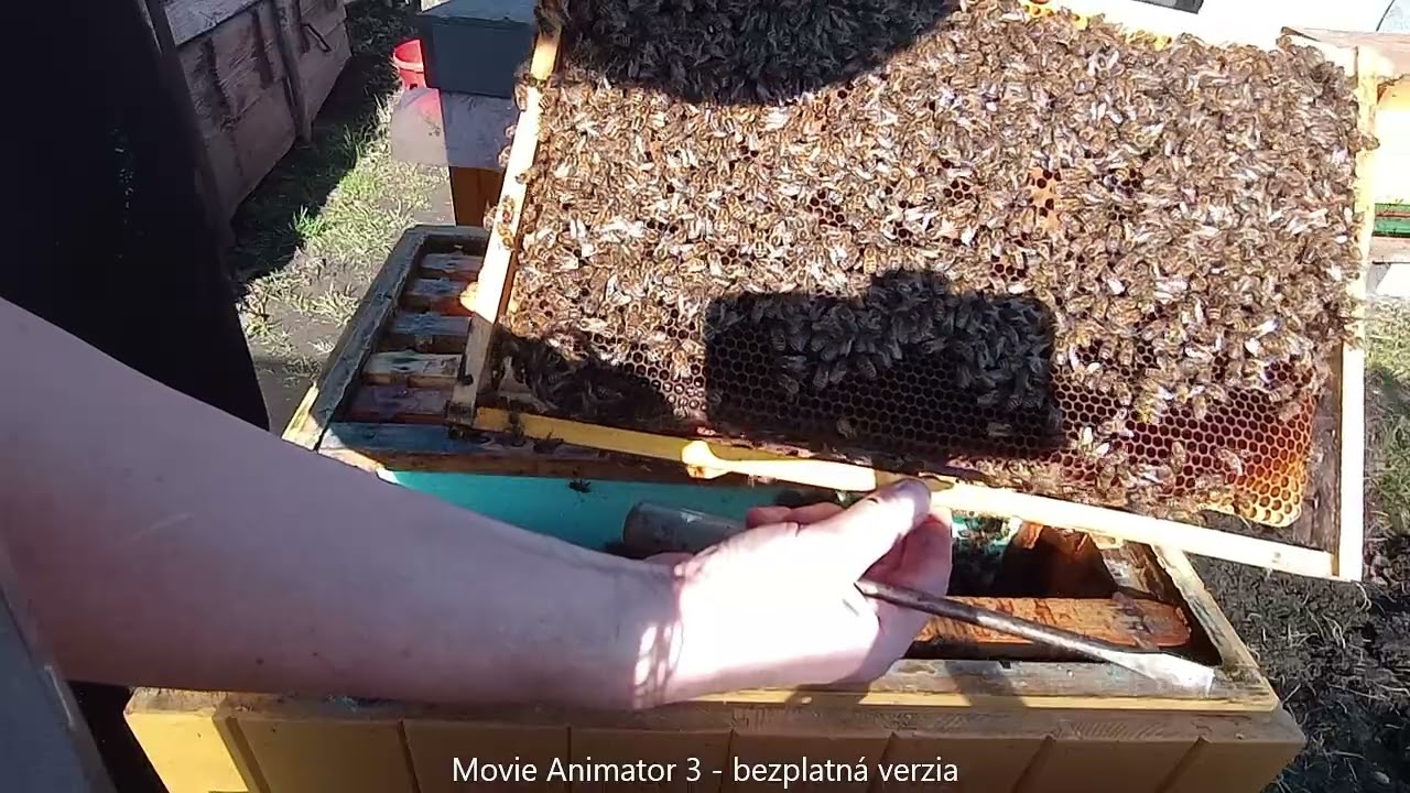 018  28 02 2026 kladenie za komorovačkou
