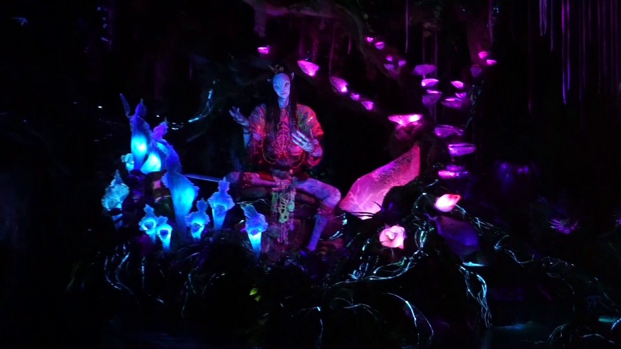 Complete Track Loop of Shaman animatronic, Na'vi River Journey, Pandora - The World of Avatar
