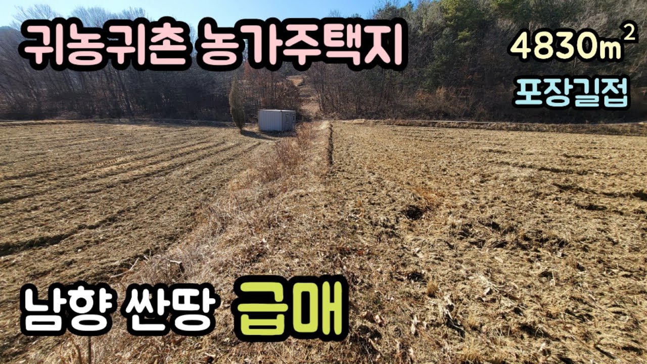 (매물번호14511) 1억2500만원 보은부동산 4830㎡(1461) 보은땅 보은토지매매매물 청주부동산 청주토지 시골땅 촌땅 싼땅 급매 주말농장 귀농귀촌 전원주택지 집터 대전부동산
