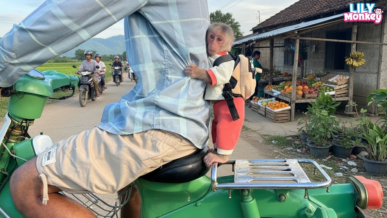 Dad takes Lily to the market and she happily helps him choose fruits for breakfast | Lily's story