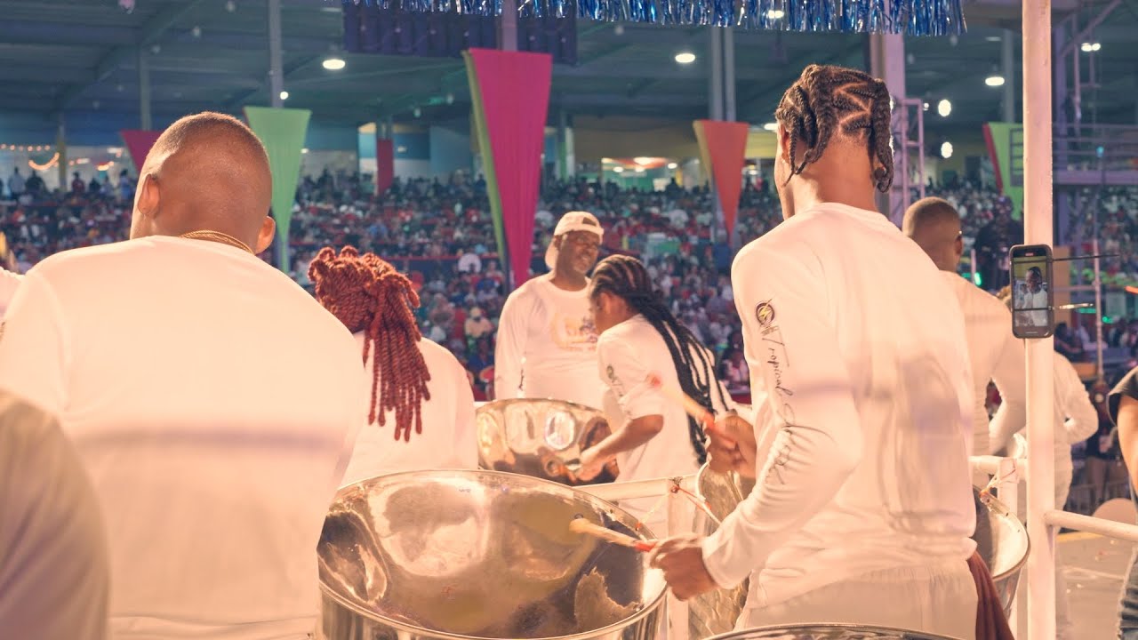 Tropical Angel Harps Play 