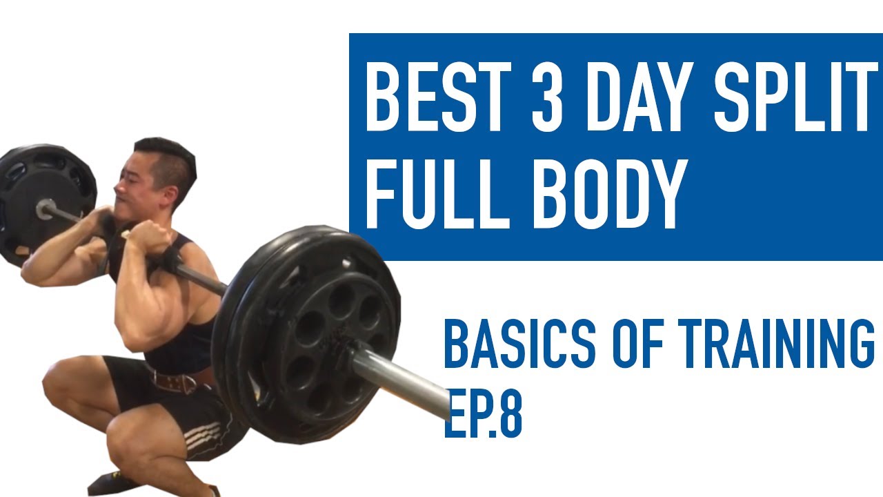 BEST Science-based FULL BODY SPLIT for Muscle Size (3 Days per Week) | FULL Program Explained