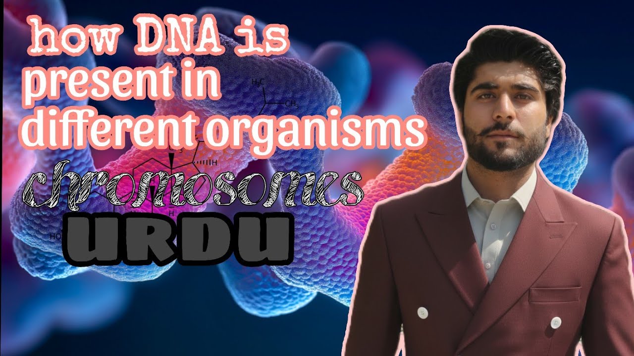 How DNA and RNA is present in different organisms/ chromosomes/ condensation in Urdu/Urdu lecture