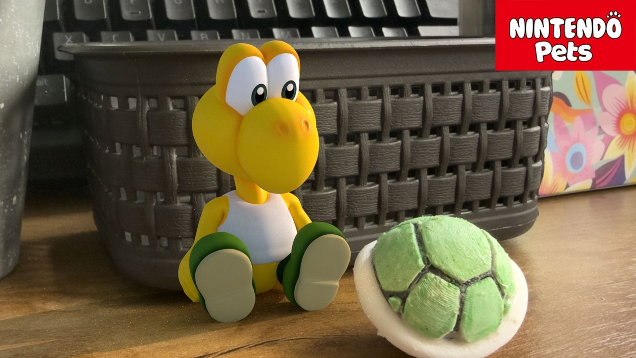 Broken shell #koopatroopa #nintendo #mario