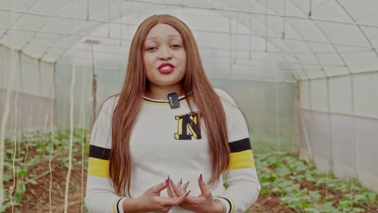 Smart Greenhouses | Grow High-Value Crops | Climate-Smart Agriculture Financing with Spotit Kenya