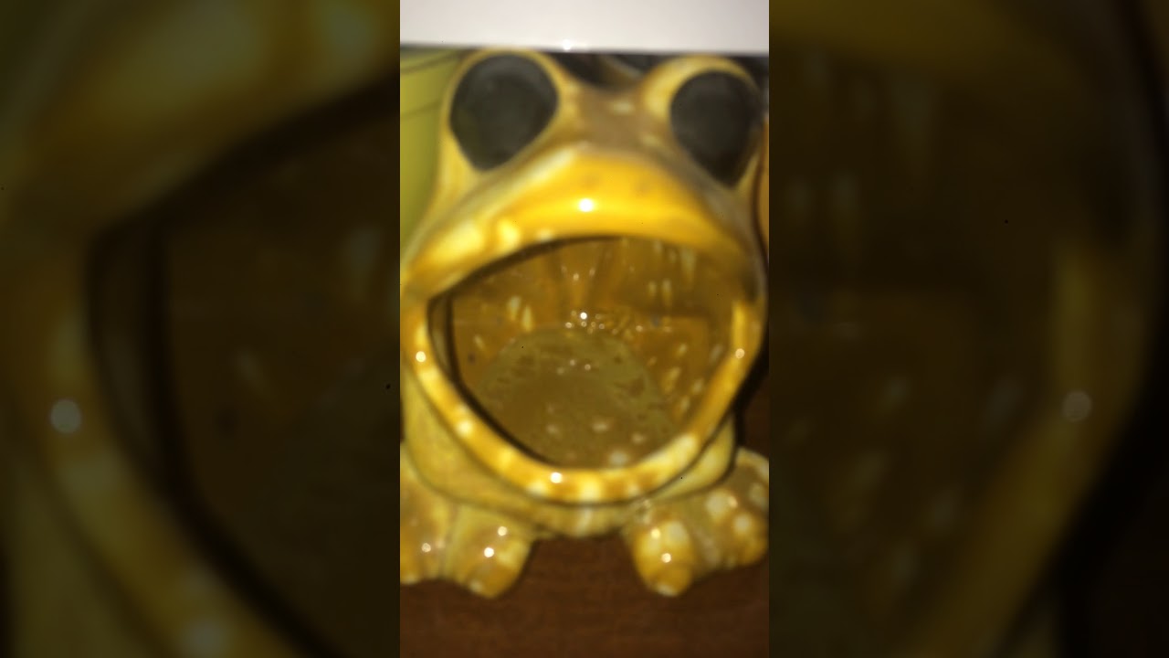 Golden Frog Jumpscare