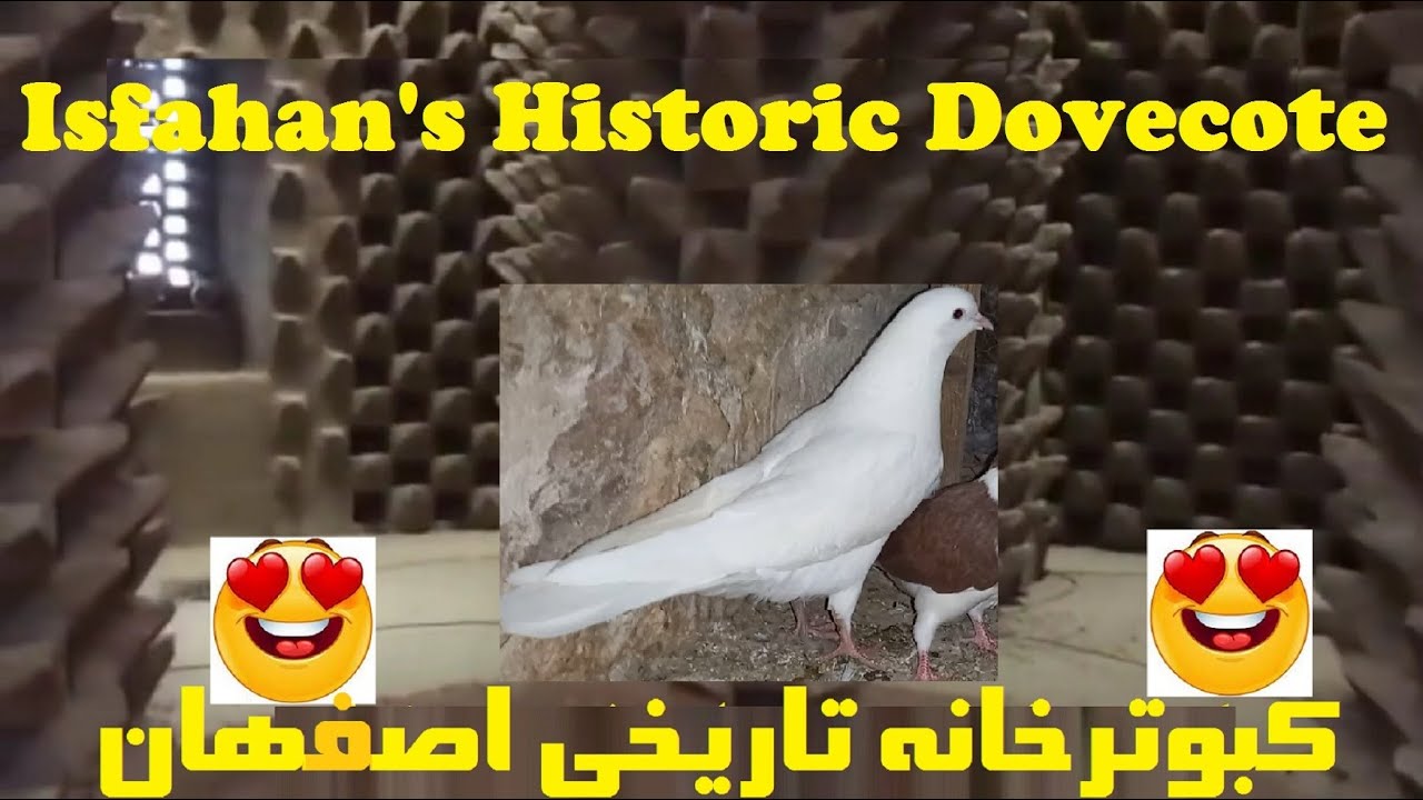 کبوترخانه سنتی اصفهان ، تبلور تاریخ و فرهنگ کبوتردوستی در ایران #کبوتر #کفتر #کبوتربازی Pigeon, IRAN