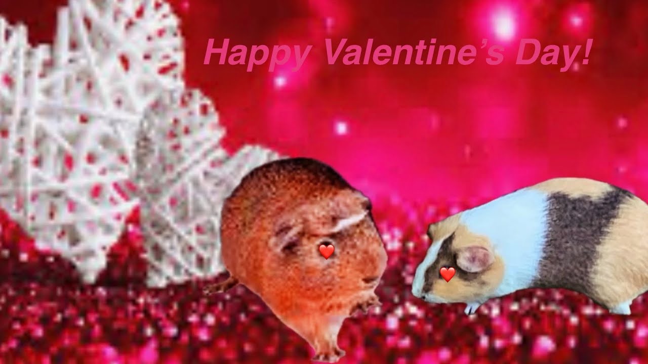 Happy Valentine’s Day!