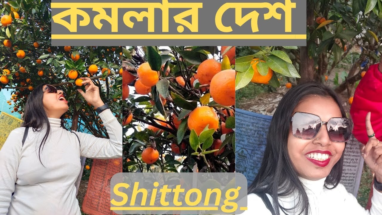 কমলার দেশ ।। Shittong 