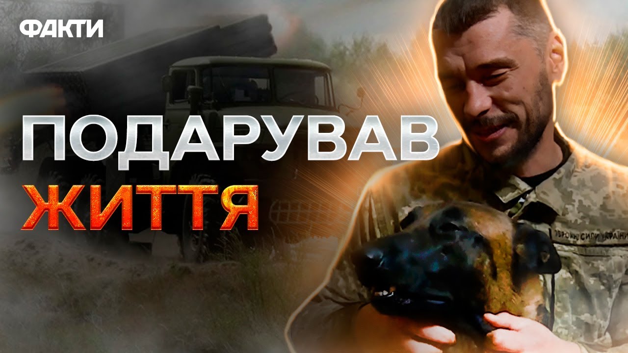 Вівчарка ВРЯТУВАЛА БІЙЦЯ ВІД ГРАДІВ 🛑 Історія АЇДА