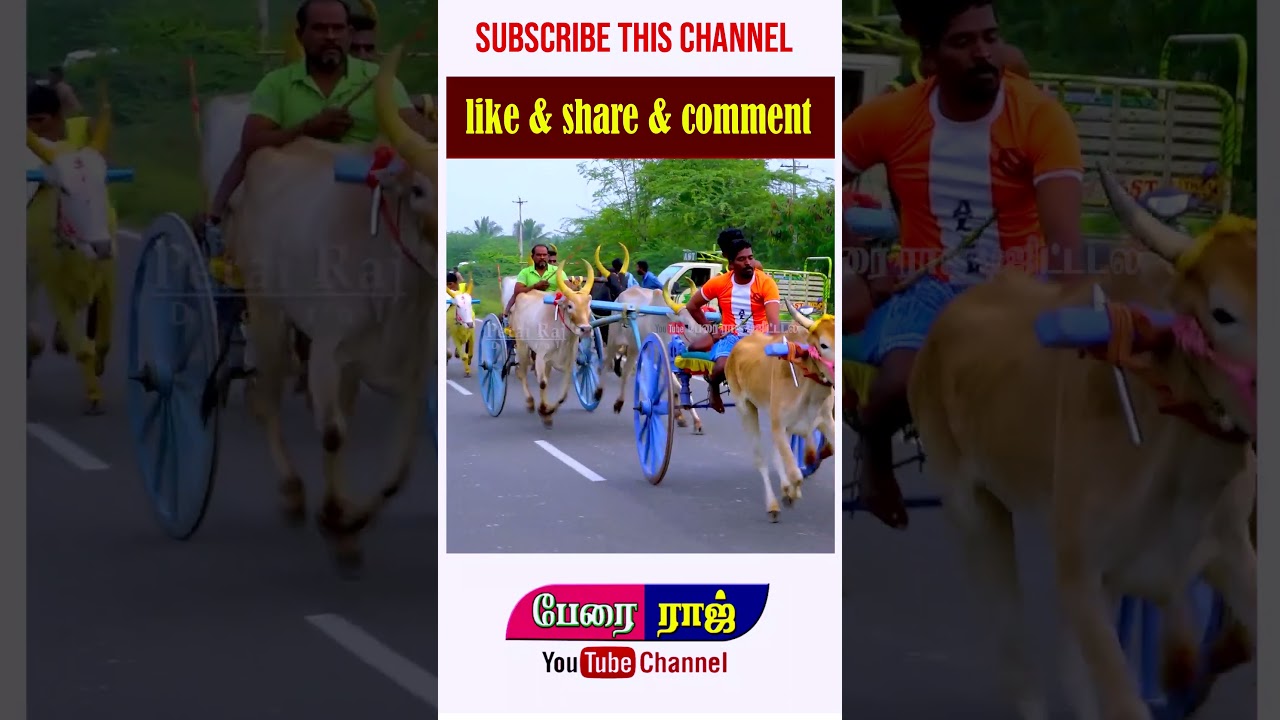செட்டுக்குள்ள வச்சு பாக்காத ஓட்டு நல்ல வெரசு