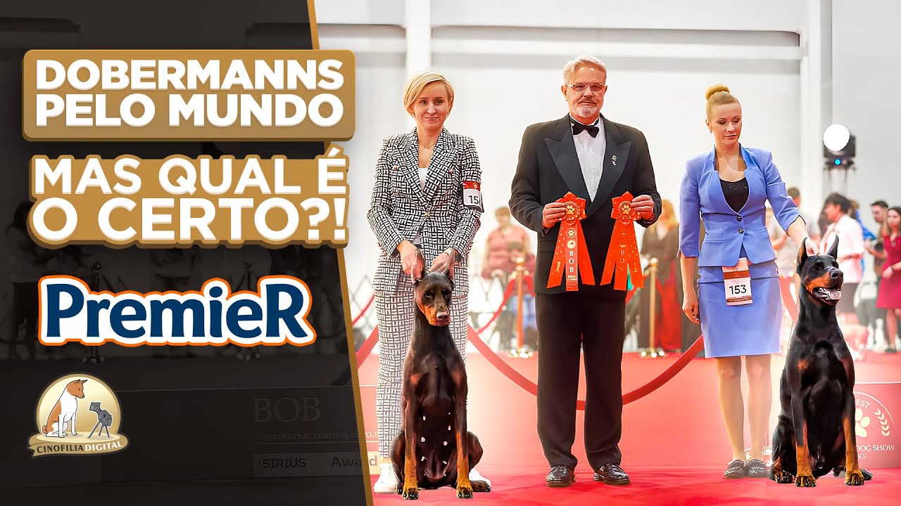 Dobermann de Verdade | Cinofilia Digital