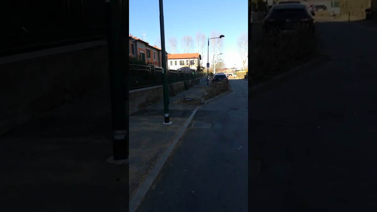 Abbattimento 95 alberi al Villaggio Falck - 10 marzo 2020