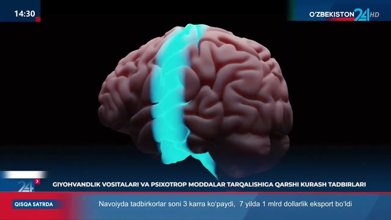Giyohvandlik vositalari va psixotrop moddalar tarqalishiga qarshi kurashish tadbirlari (Toshkent)
