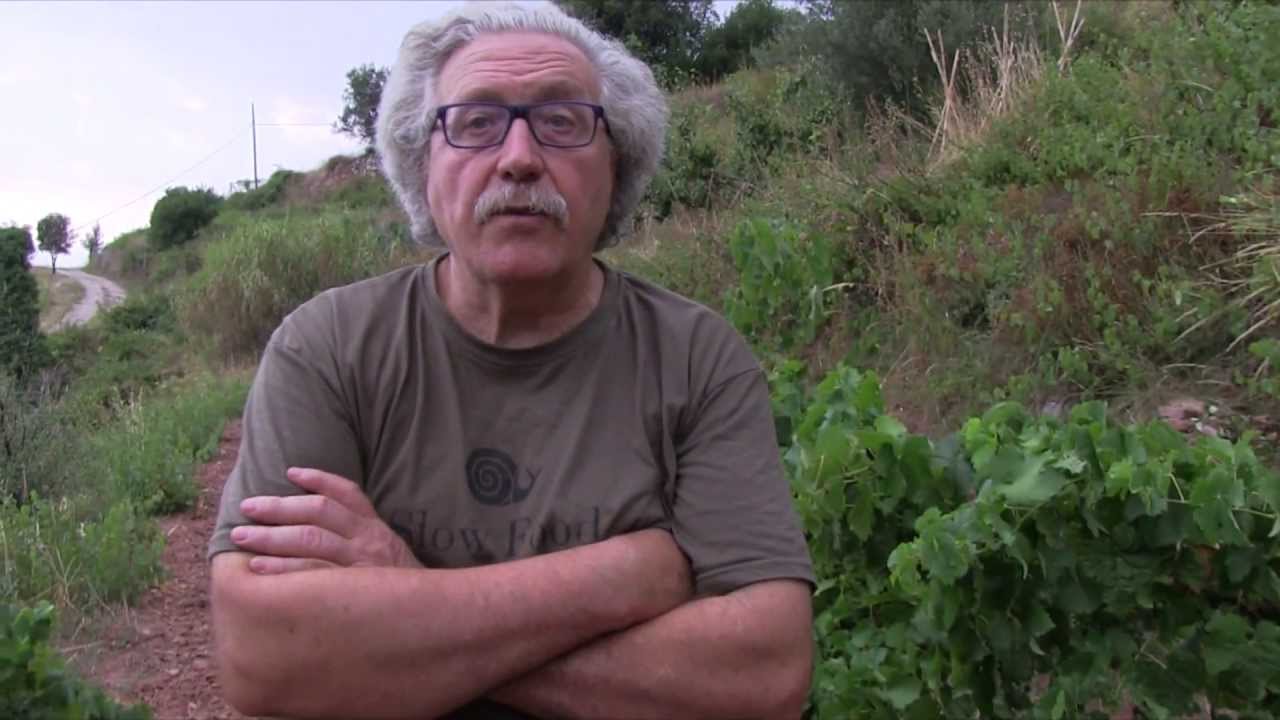 Pep Salsetes, Llavors Orientals & Slow Food.