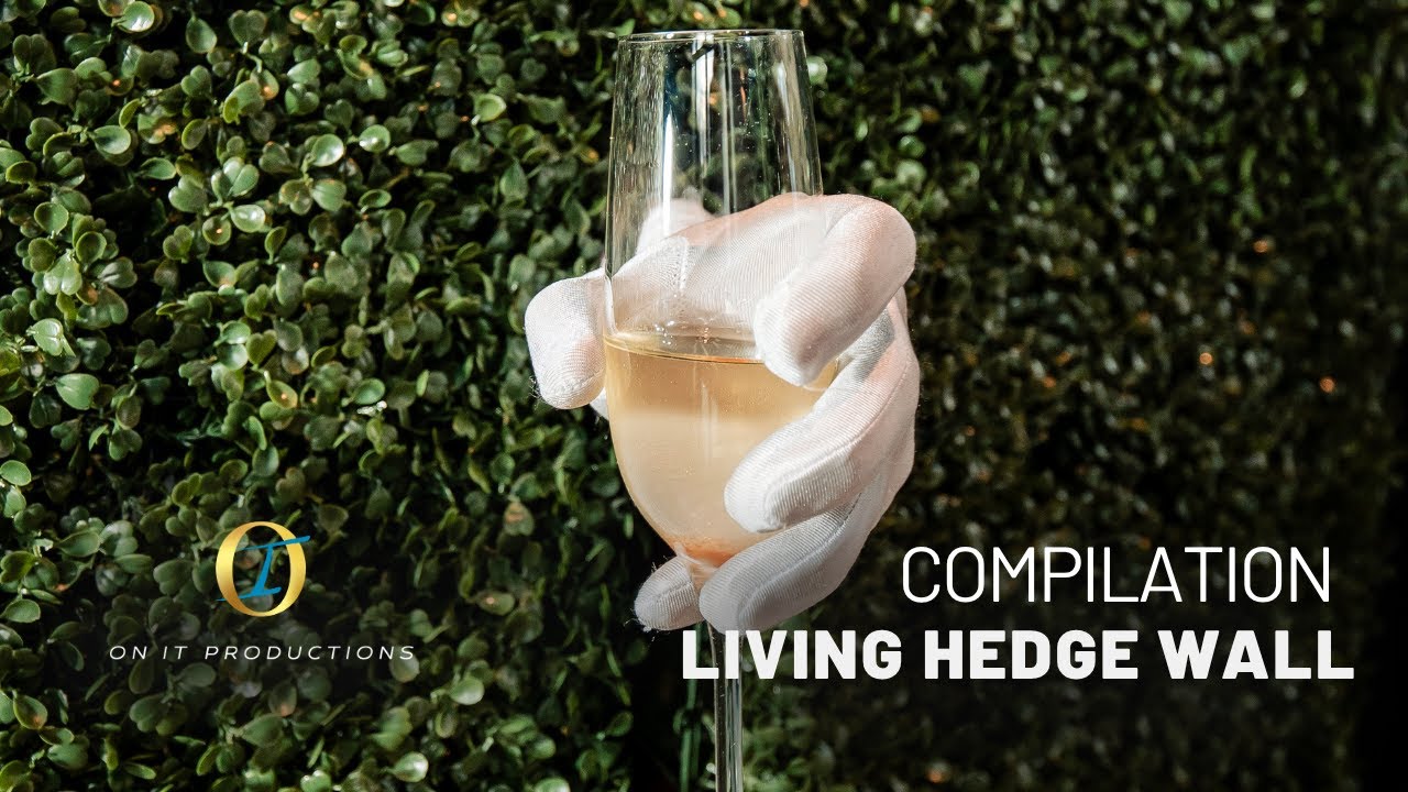 Interactive Living Champagne Hedge Wall for Weddings and Events