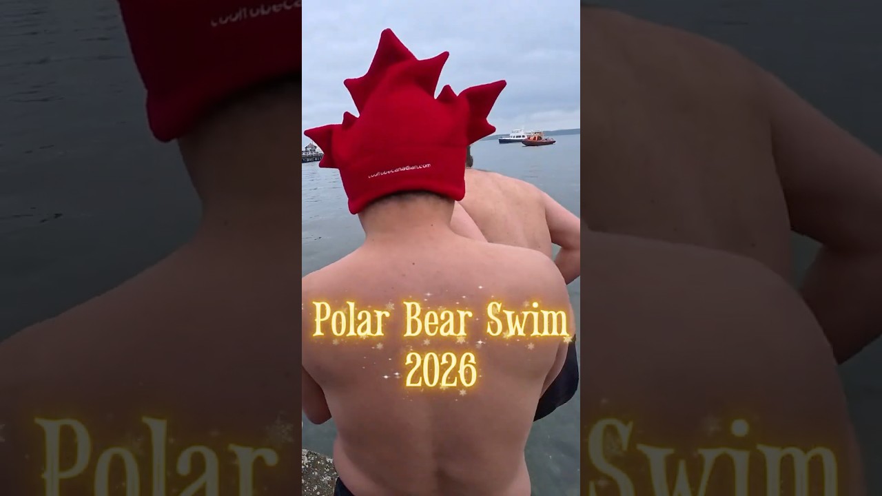 Polar Bear Swim